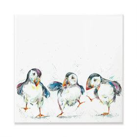 Three Puffins Square Canvas Print Three Puffins Square Canvas Print wall art product Nicola Jane Rowles