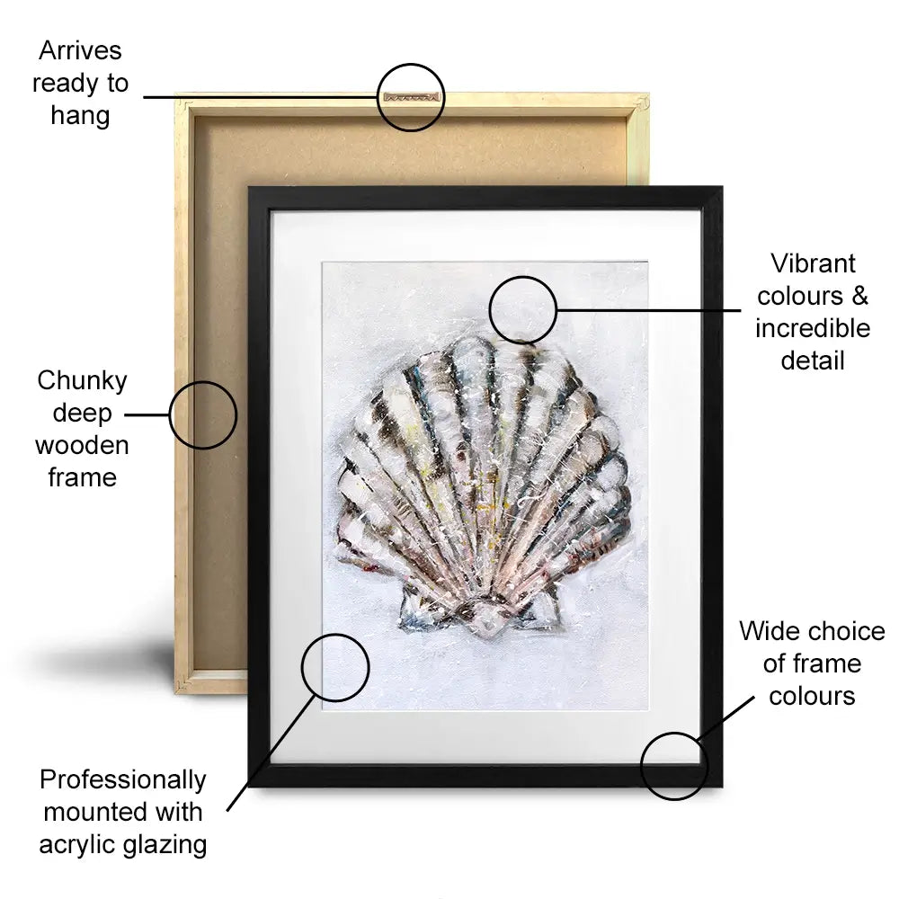 Three Shells Framed Art Print Trio Three Shells Framed Art Print Trio wall art product Nicola Jane Rowles