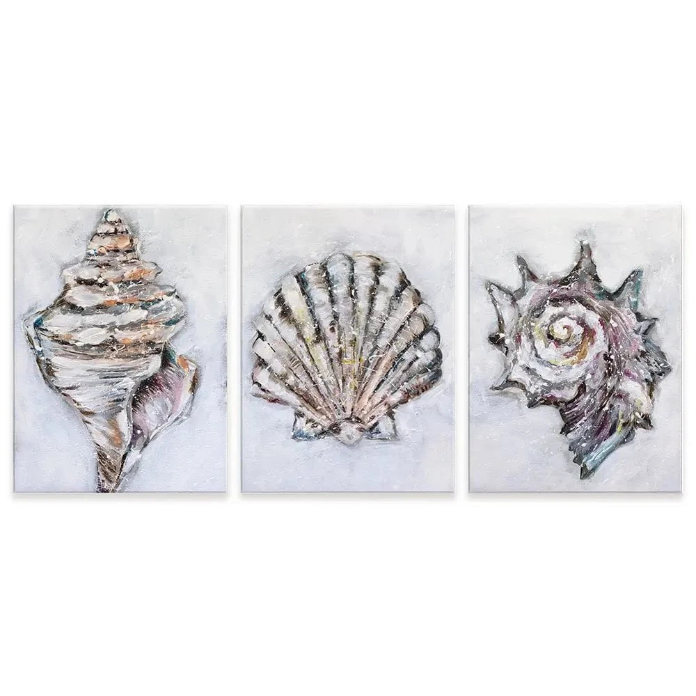 Three Shells Trio Canvas Print