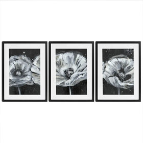 Three White Flowers Framed Art Print Trio Three White Flowers Framed Art Print Trio wall art product Jennifer Goldberger