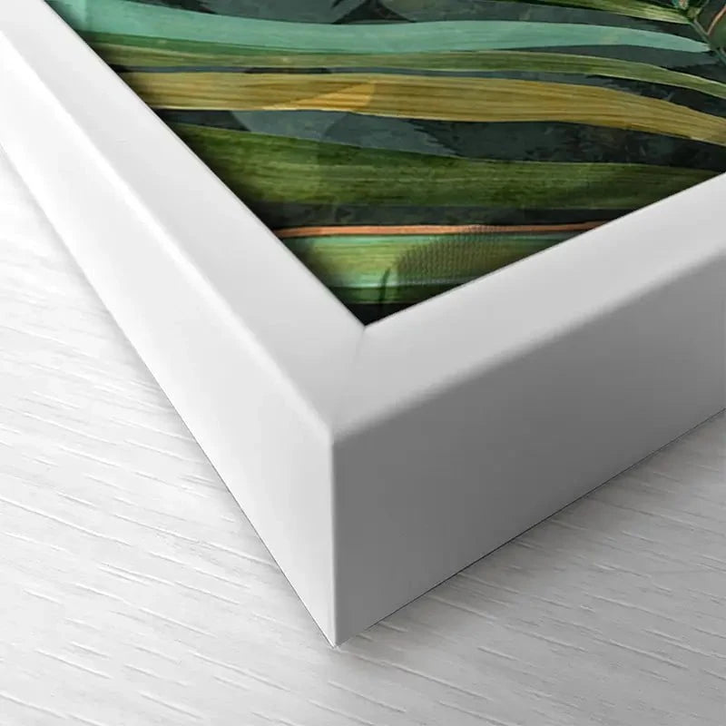 Tropical Patterns Canvas Print Tropical Patterns Canvas Print wall art product Carol Robinson