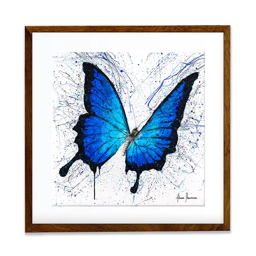 Tropics Of Blue Butterfly Square Framed Art Print Tropics Of Blue Butterfly Square Framed Art Print wall art product Ashvin Harrison