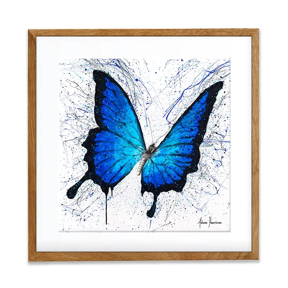 Tropics Of Blue Butterfly Square Framed Art Print Tropics Of Blue Butterfly Square Framed Art Print wall art product Ashvin Harrison