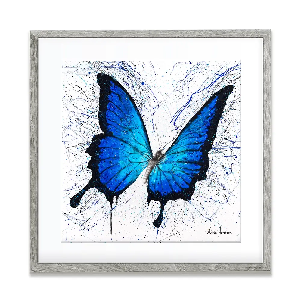 Tropics Of Blue Butterfly Square Framed Art Print Tropics Of Blue Butterfly Square Framed Art Print wall art product Ashvin Harrison