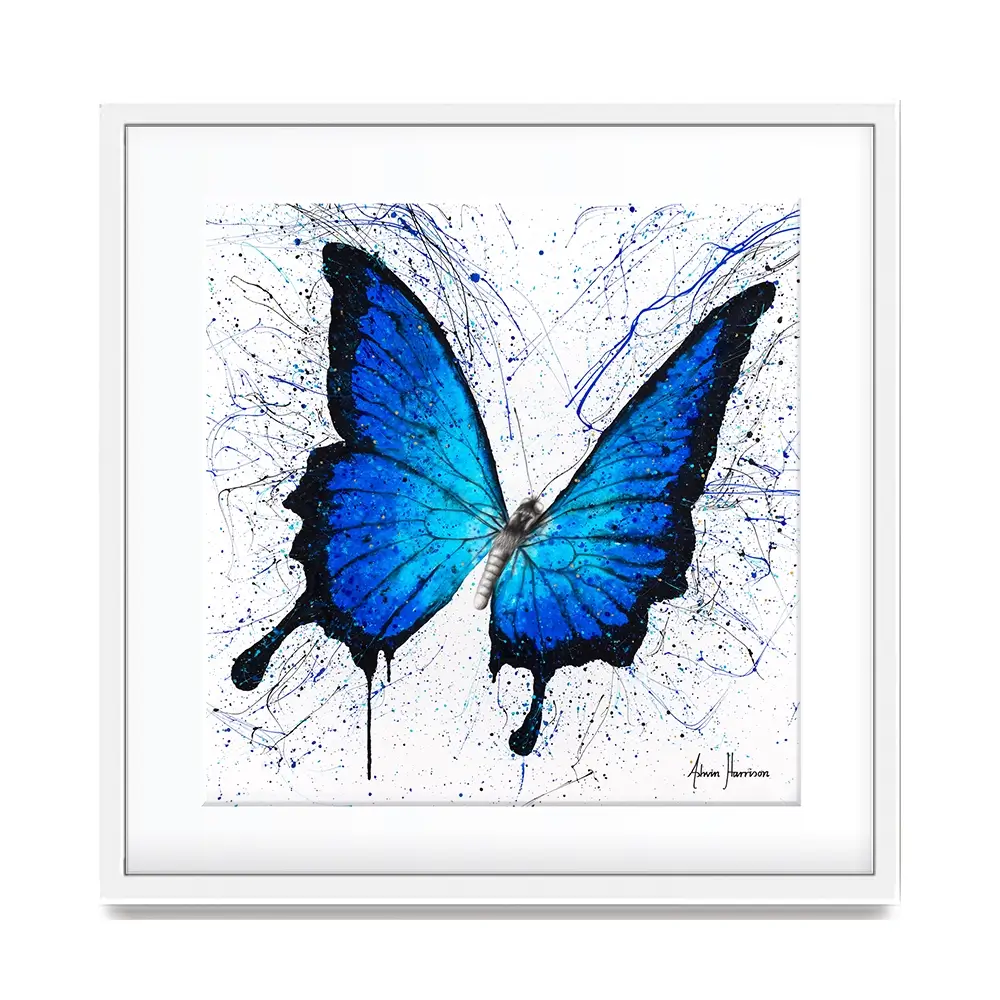 Tropics Of Blue Butterfly Square Framed Art Print Tropics Of Blue Butterfly Square Framed Art Print wall art product Ashvin Harrison
