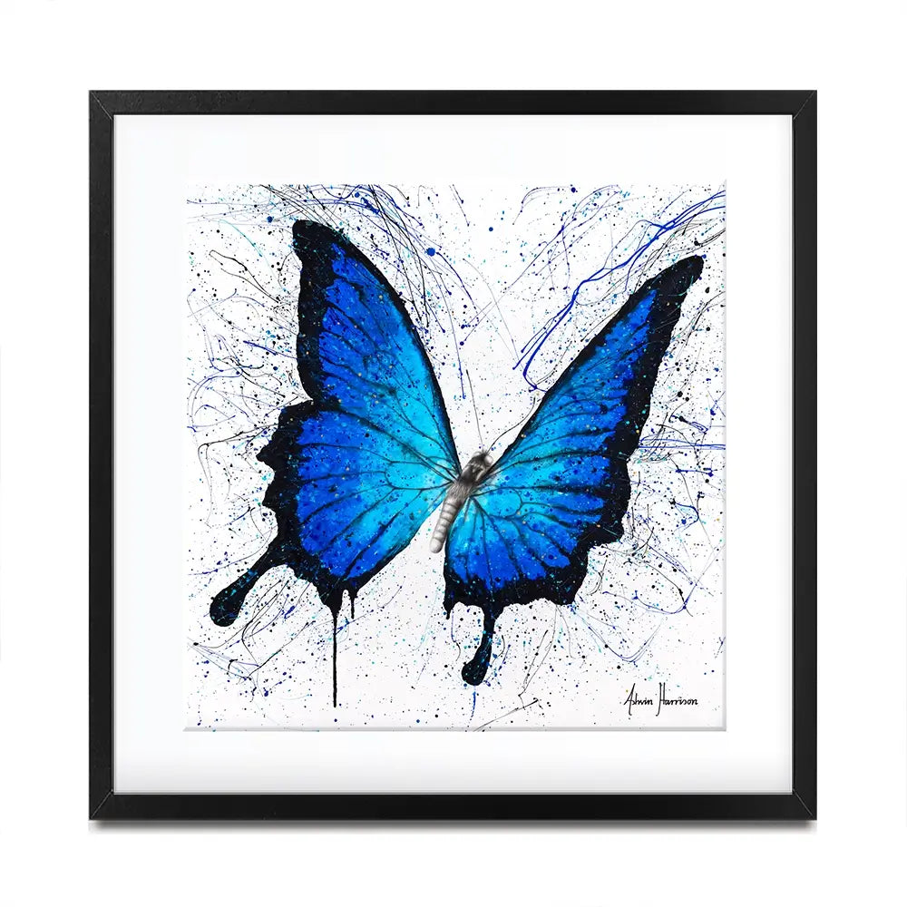 Tropics Of Blue Butterfly Square Framed Art Print Tropics Of Blue Butterfly Square Framed Art Print wall art product Ashvin Harrison