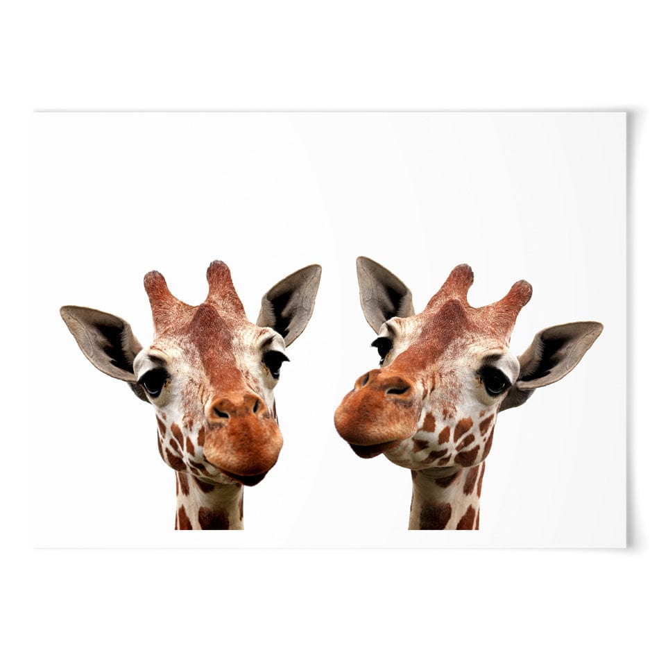 Two Giraffes Art Print wall art product / Shutterstock