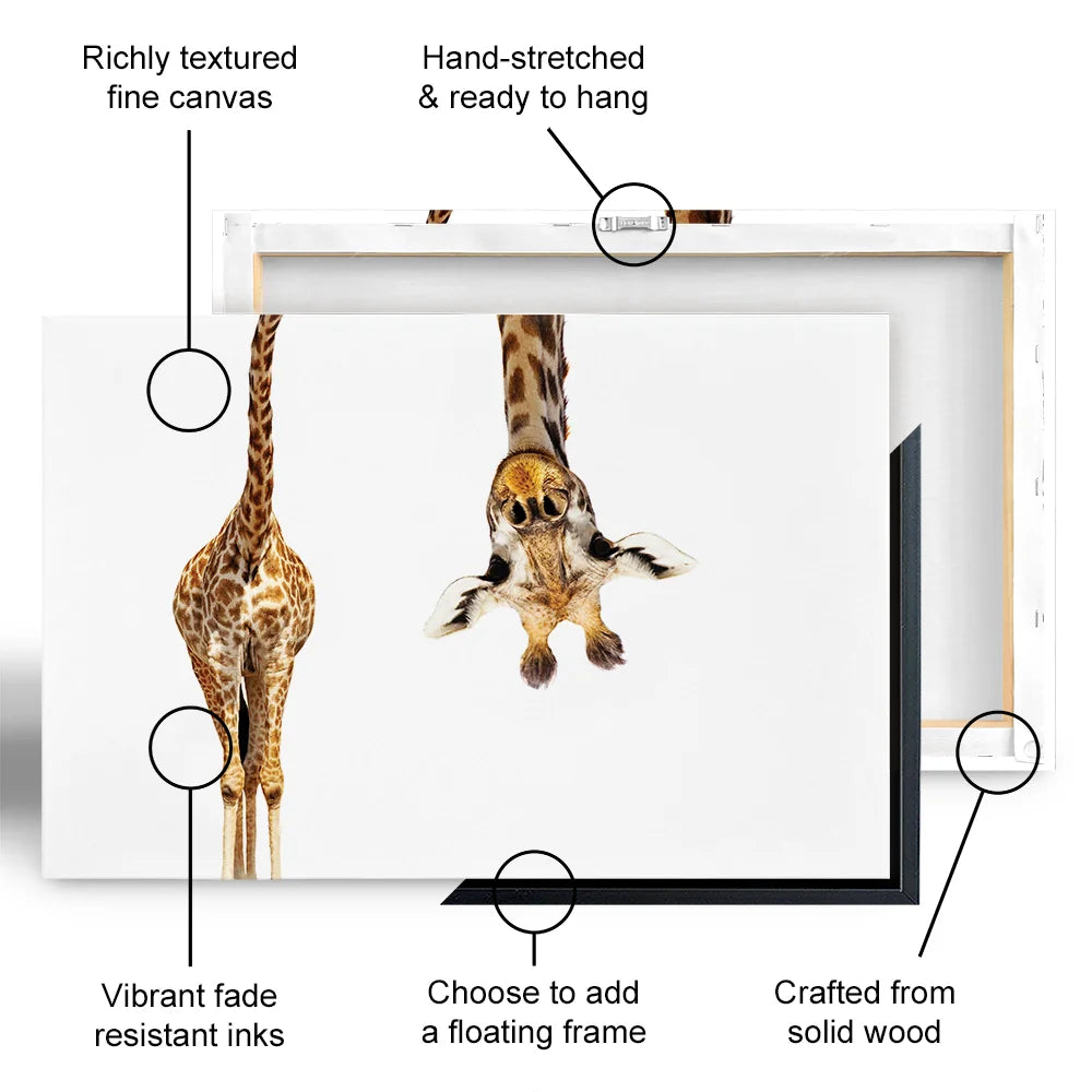 Upside Down Giraffe Canvas Print Upside Down Giraffe Canvas Print wall art product Sergey Novikov / Shutterstock
