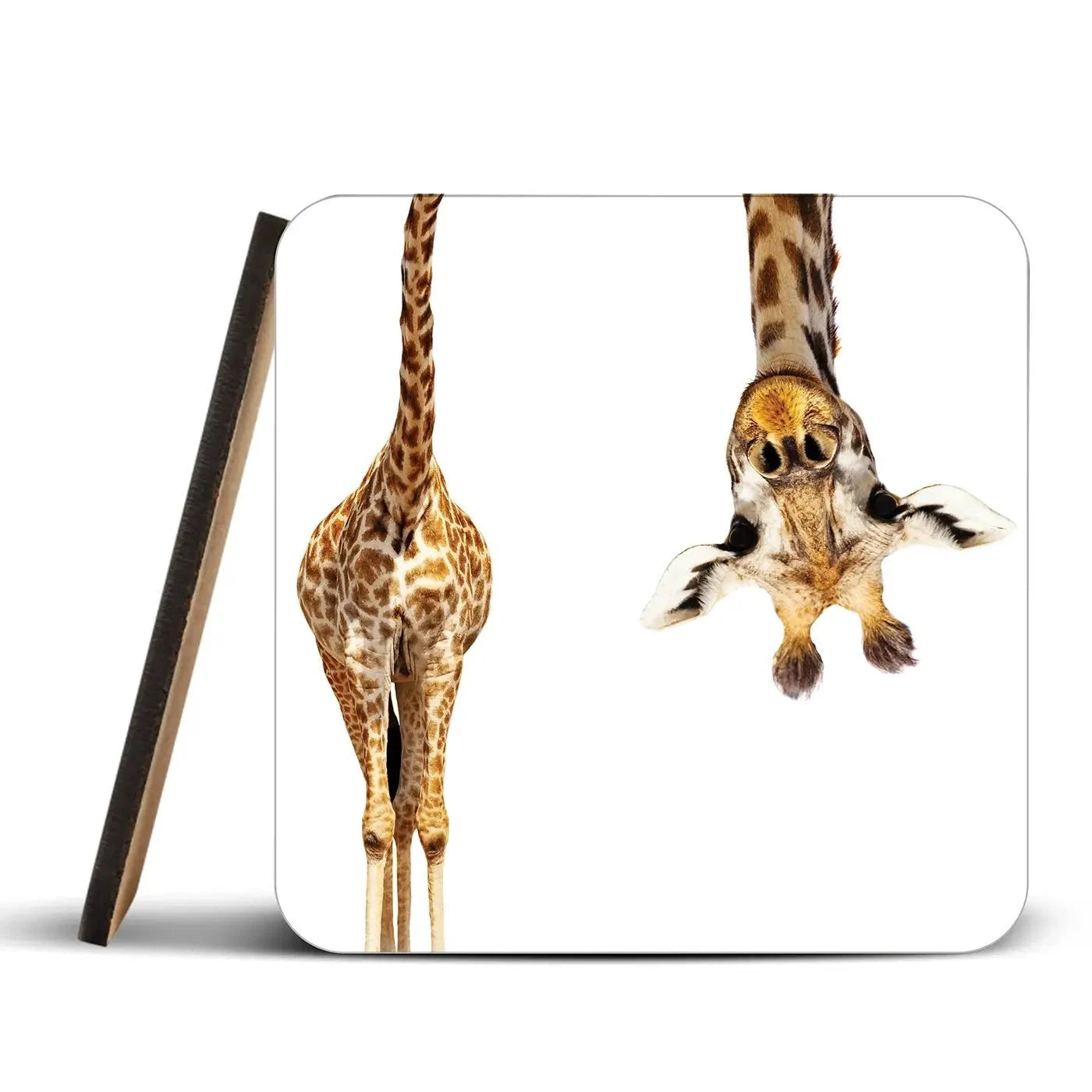 Upside Down Giraffe Coaster Set Upside Down Giraffe Coaster Set wall art product Sergey Novikov / Shutterstock