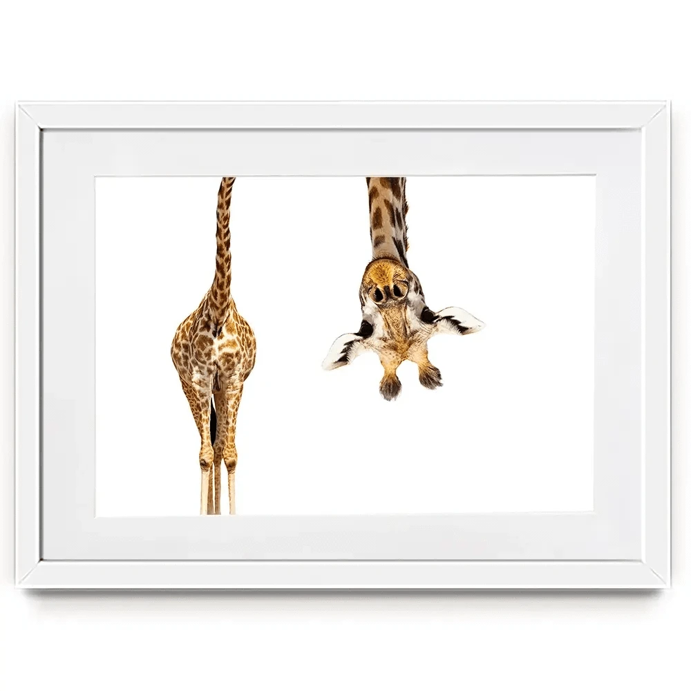 Upside Down Giraffe Framed Art Print Upside Down Giraffe Framed Art Print wall art product Sergey Novikov / Shutterstock