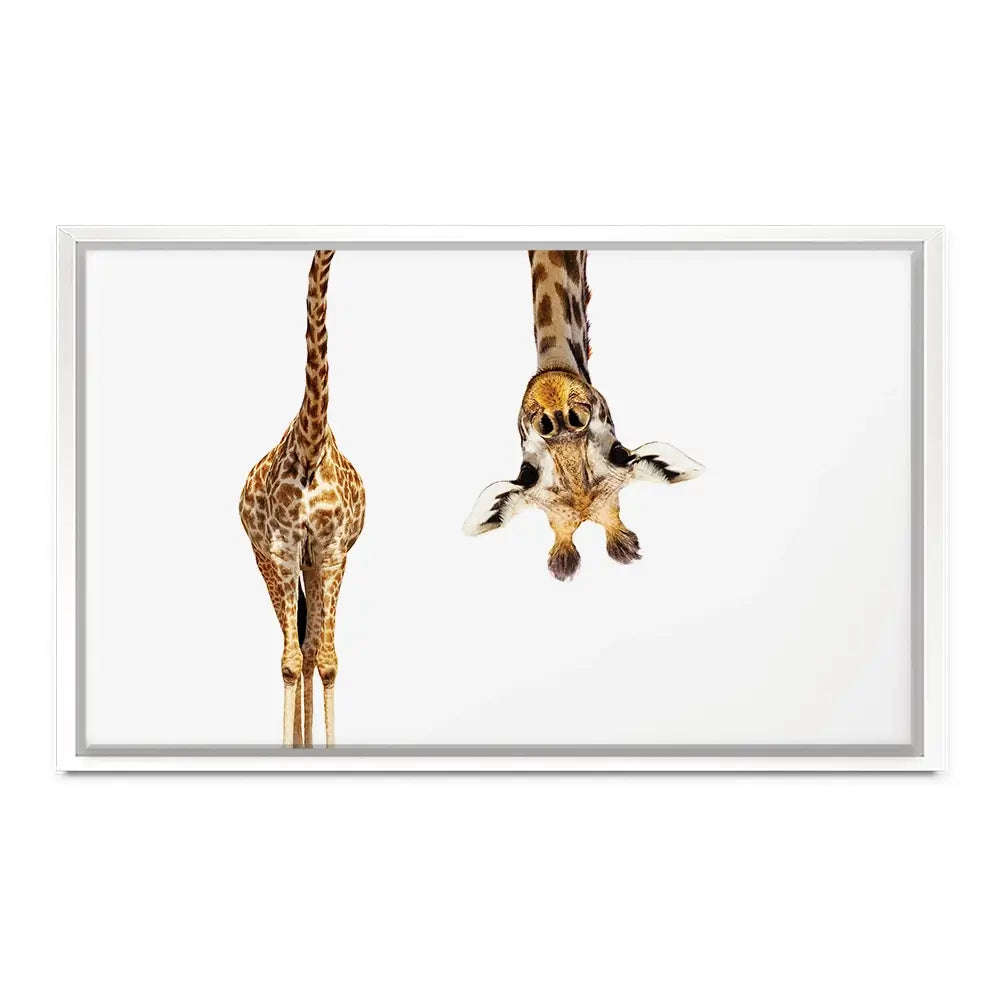 Upside Down Giraffe Oversized Canvas Print Upside Down Giraffe Oversized Canvas Print wall art product Art Print Shop