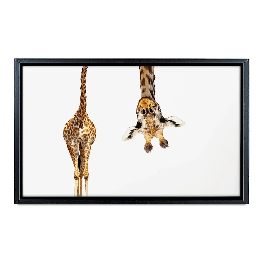 Upside Down Giraffe Oversized Canvas Print Upside Down Giraffe Oversized Canvas Print wall art product Art Print Shop