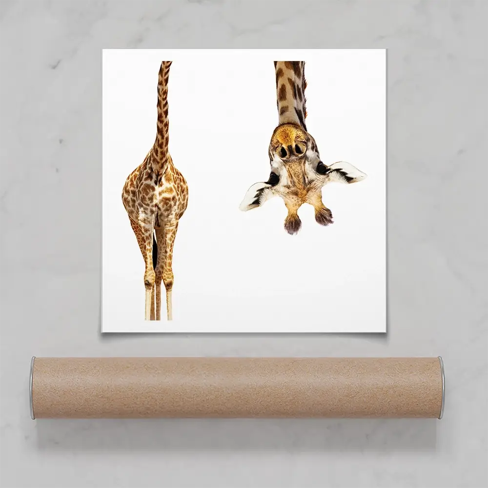 Upside Down Giraffe Square Art Print Upside Down Giraffe Square Art Print wall art product Sergey Novikov / Shutterstock