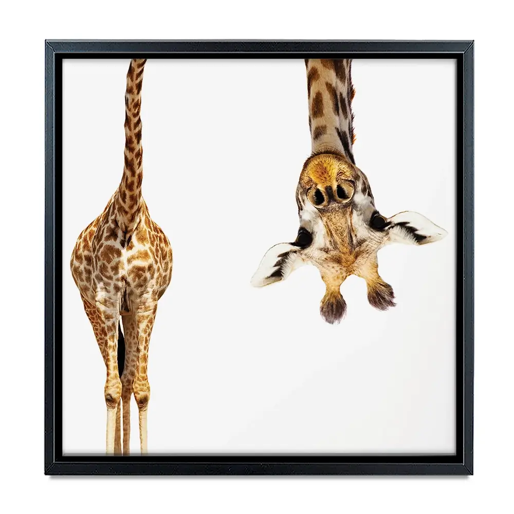 Upside Down Giraffe Square Canvas Print Upside Down Giraffe Square Canvas Print wall art product Sergey Novikov / Shutterstock