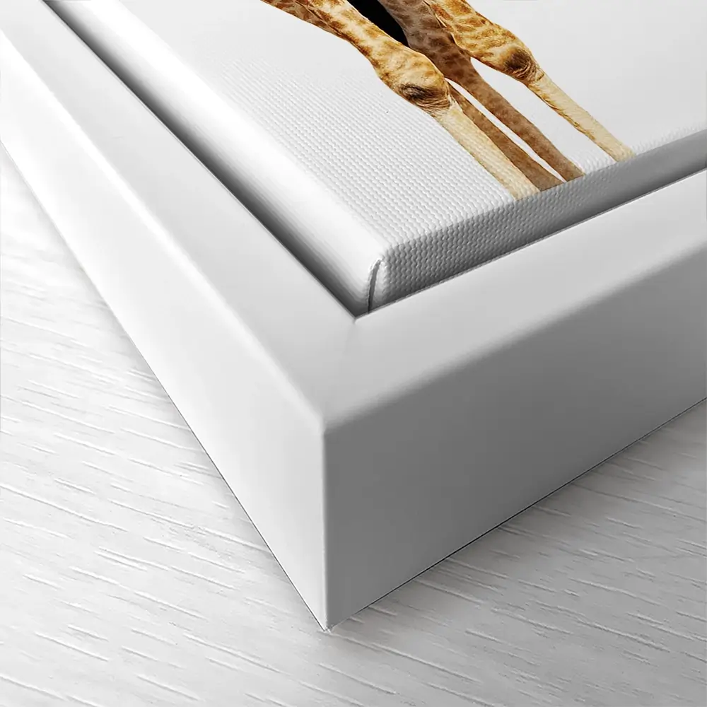 Upside Down Giraffe Square Canvas Print Upside Down Giraffe Square Canvas Print wall art product Sergey Novikov / Shutterstock