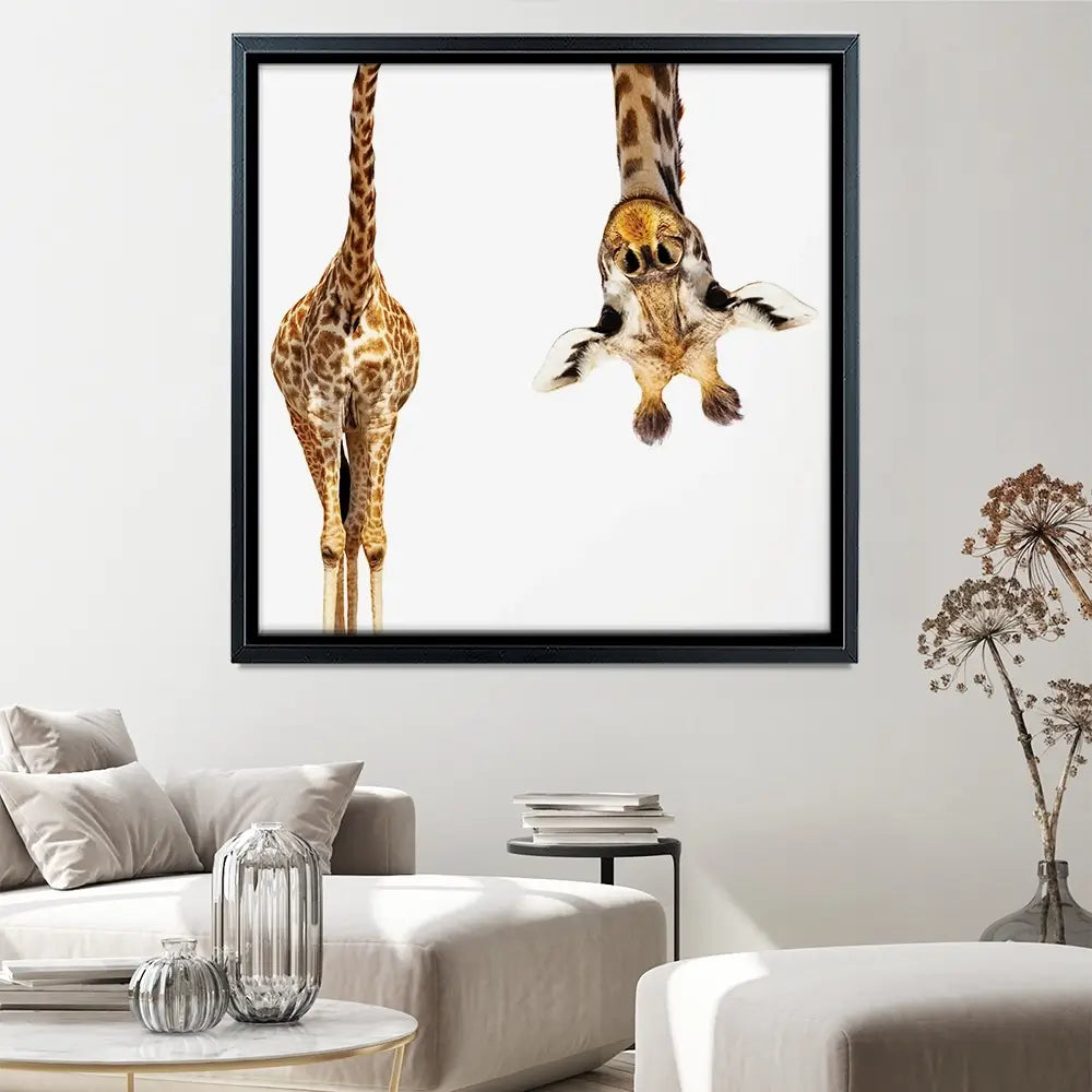 Upside Down Giraffe Square Canvas Print Upside Down Giraffe Square Canvas Print wall art product Sergey Novikov / Shutterstock