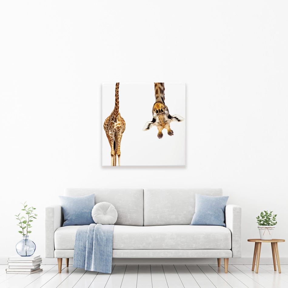 Upside Down Giraffe Square Canvas Print wall art product Sergey Novikov / Shutterstock