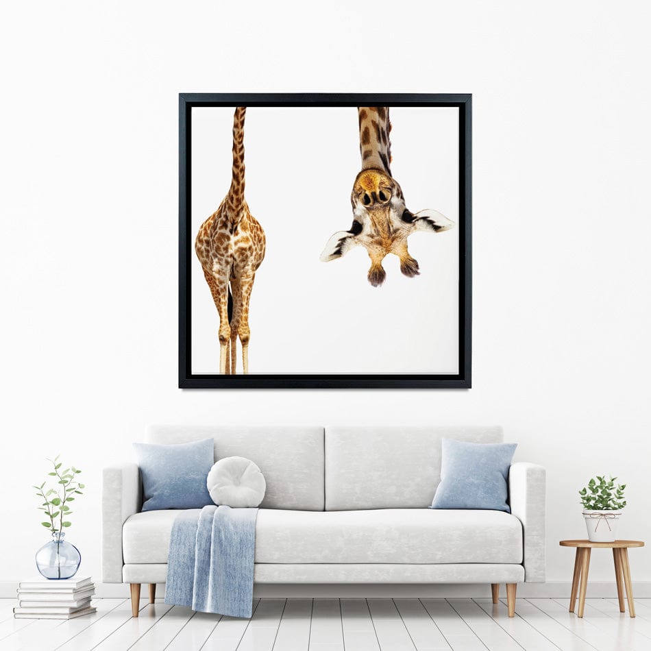 Upside Down Giraffe Square Canvas Print wall art product Sergey Novikov / Shutterstock
