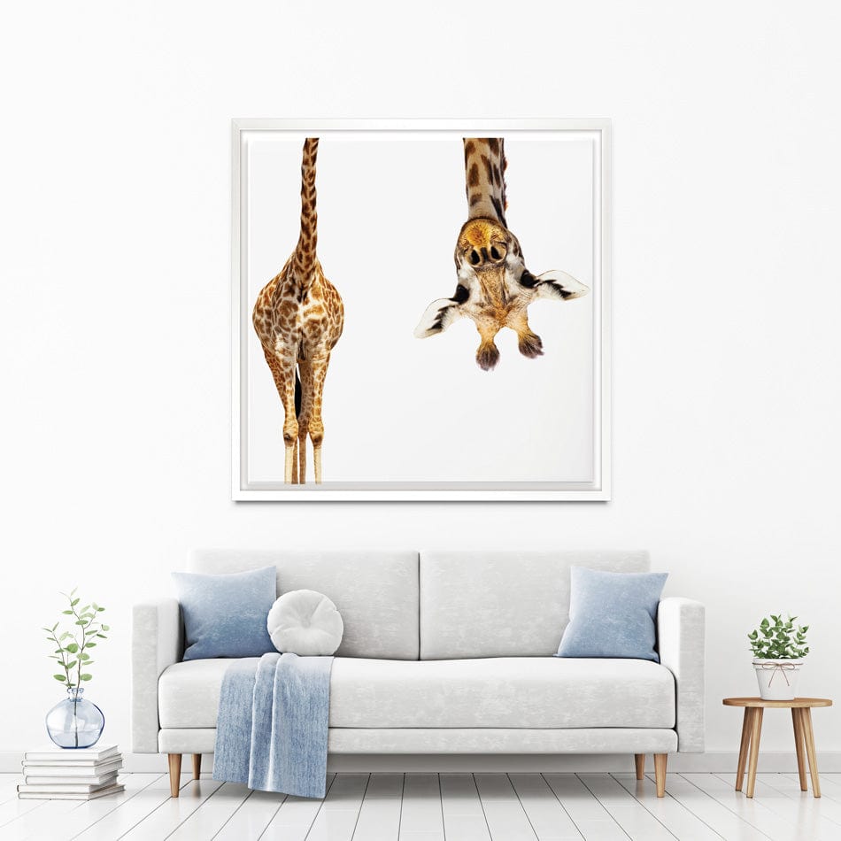 Upside Down Giraffe Square Canvas Print wall art product Sergey Novikov / Shutterstock