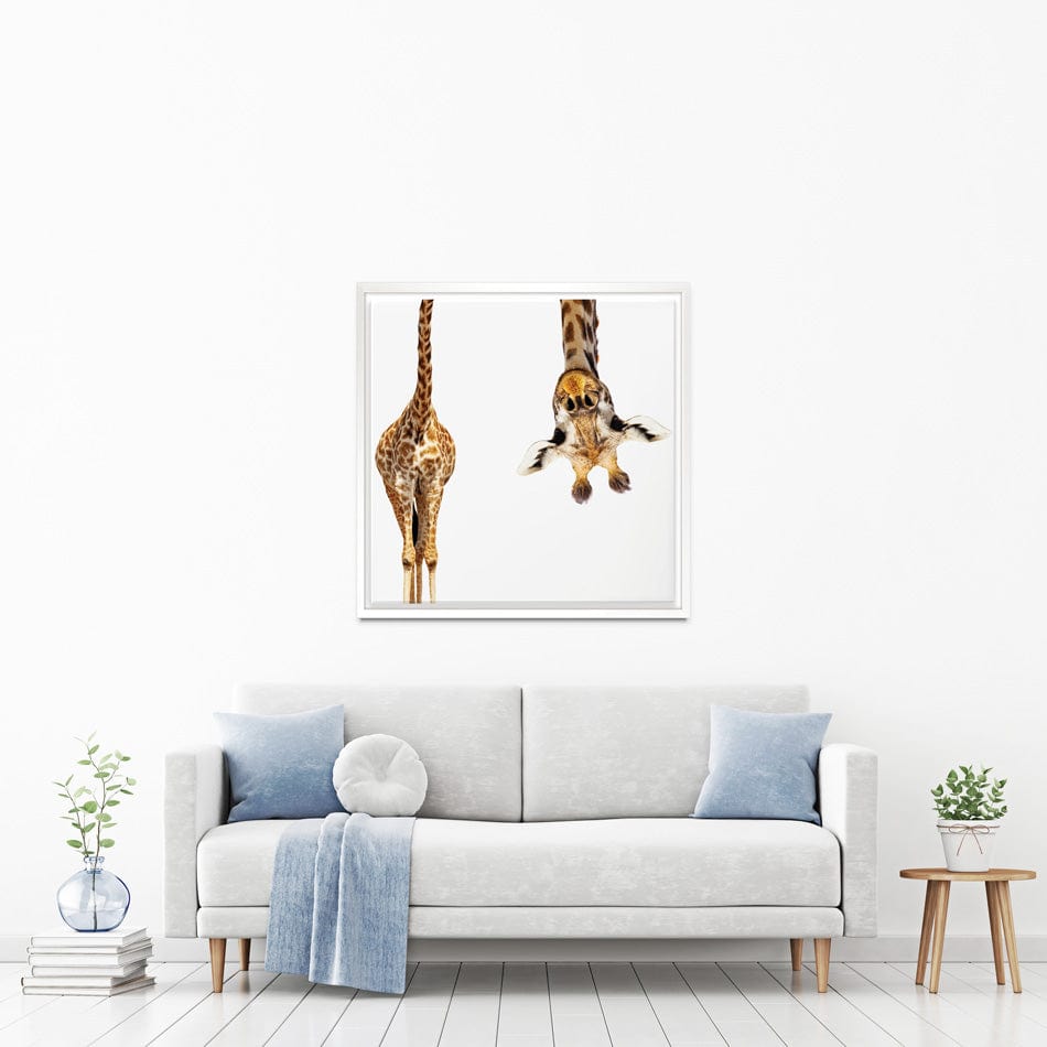 Upside Down Giraffe Square Canvas Print wall art product Sergey Novikov / Shutterstock