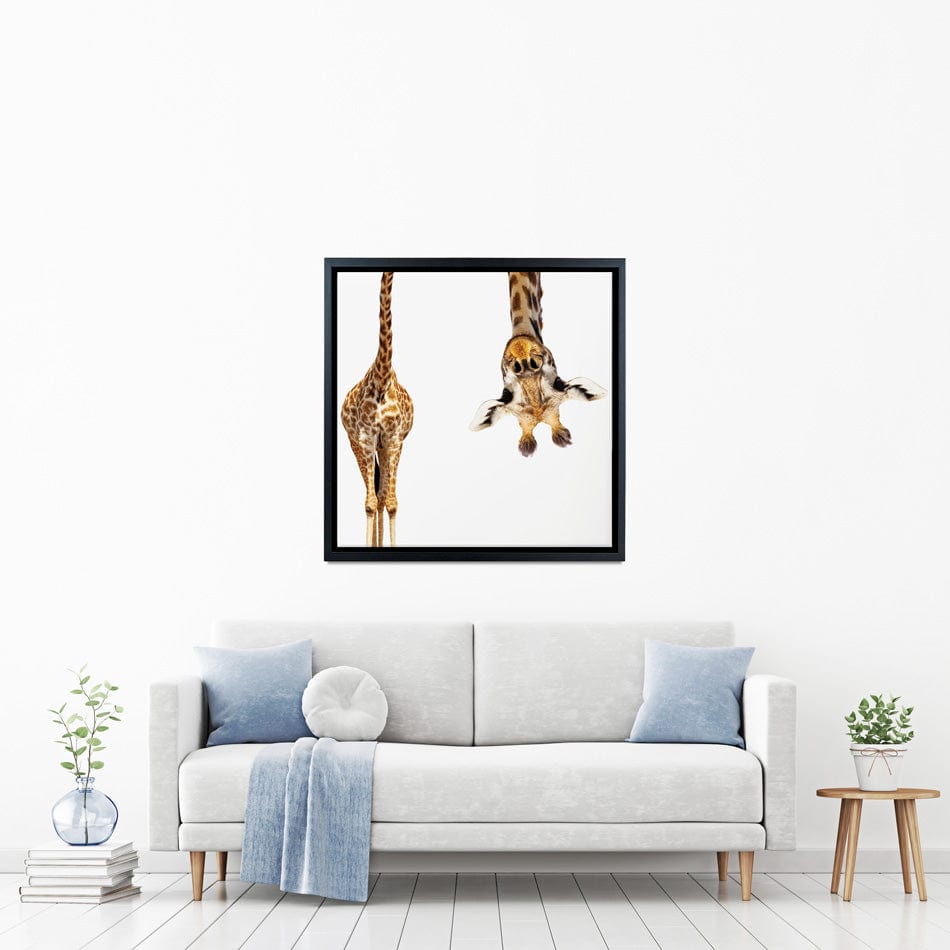 Upside Down Giraffe Square Canvas Print wall art product Sergey Novikov / Shutterstock