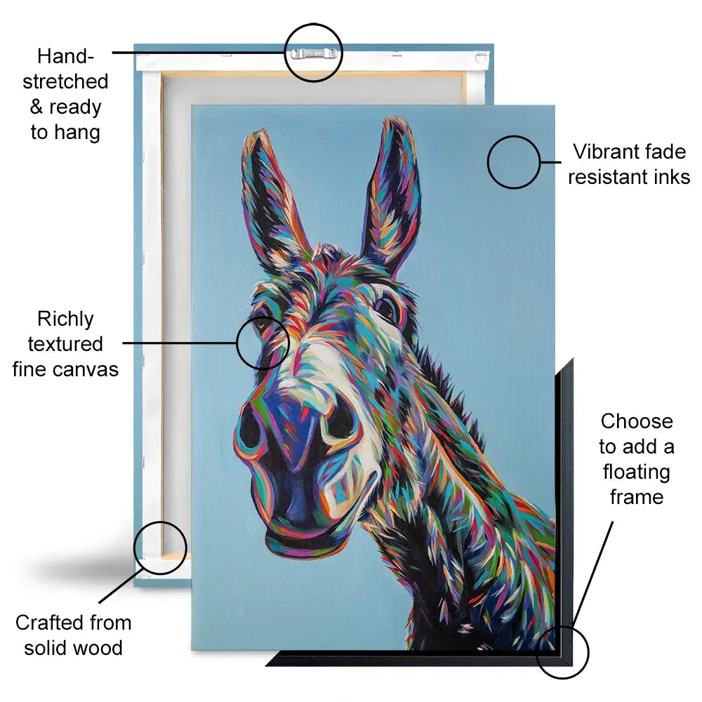 Valentine The Donkey Canvas Print Valentine The Donkey Canvas Print wall art product Carolee Vitaletti