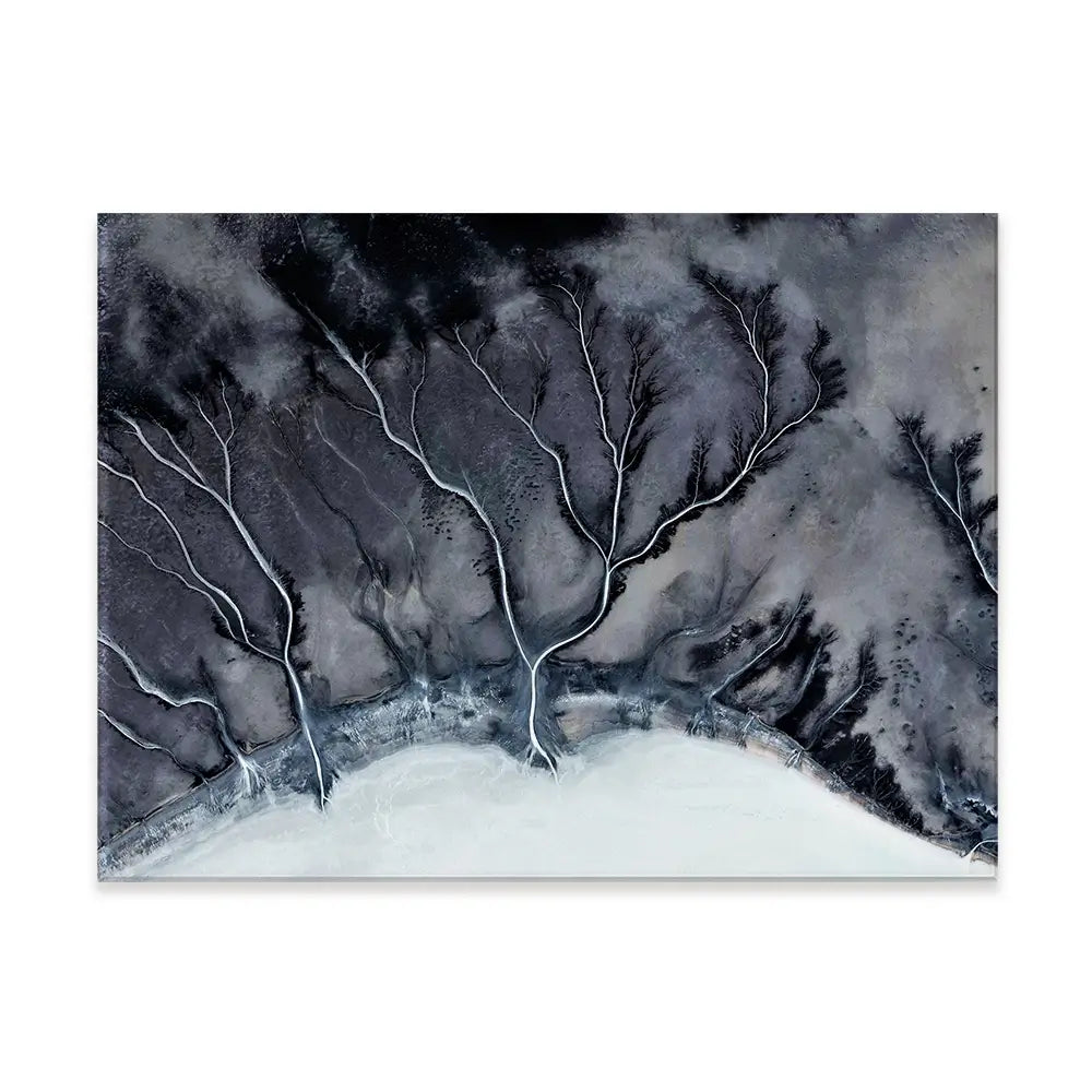 Veins Canvas Print Veins Canvas Print wall art product Art Print Shop