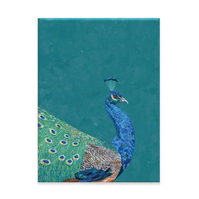 Vibrant Peacock Canvas Print Vibrant Peacock Canvas Print wall art product Sarah Manovski