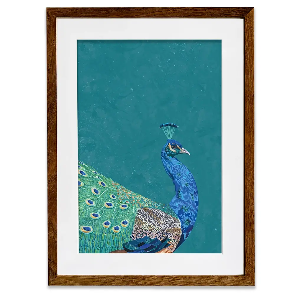 Vibrant Peacock Framed Art Print Vibrant Peacock Framed Art Print wall art product Sarah Manovski
