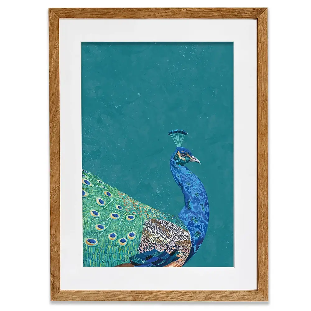 Vibrant Peacock Framed Art Print Vibrant Peacock Framed Art Print wall art product Sarah Manovski