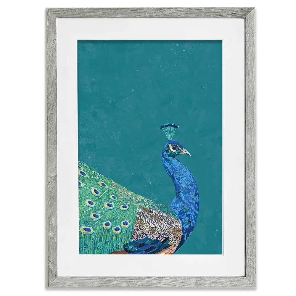 Vibrant Peacock Framed Art Print Vibrant Peacock Framed Art Print wall art product Sarah Manovski