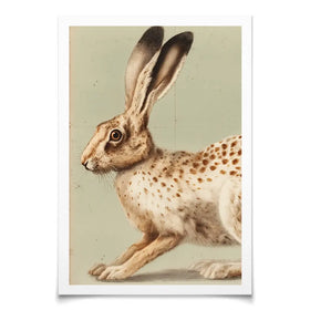 Vintage Hare 2 Art Print Vintage Hare 2 Art Print wall art product Paula Freeman