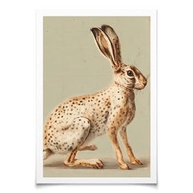 Vintage Hare Art Print Vintage Hare Art Print wall art product Paula Freeman