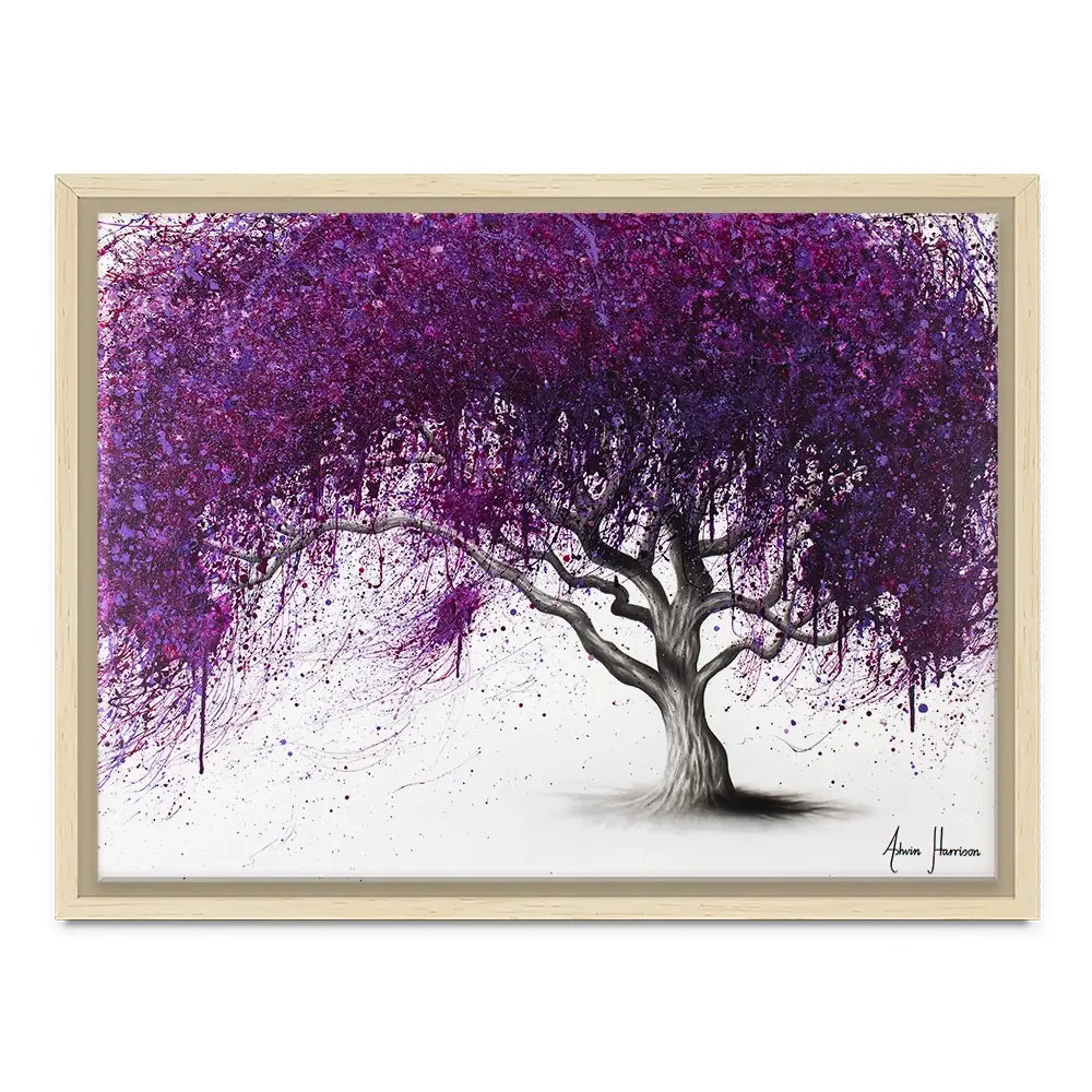 Violet Shadows Canvas Print Violet Shadows Canvas Print wall art product Ashvin Harrison