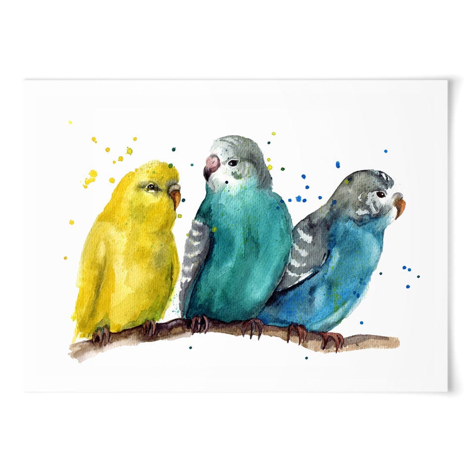 Watercolour Budgies Art Print wall art product Tatyana Komtsyan / Shutterstock