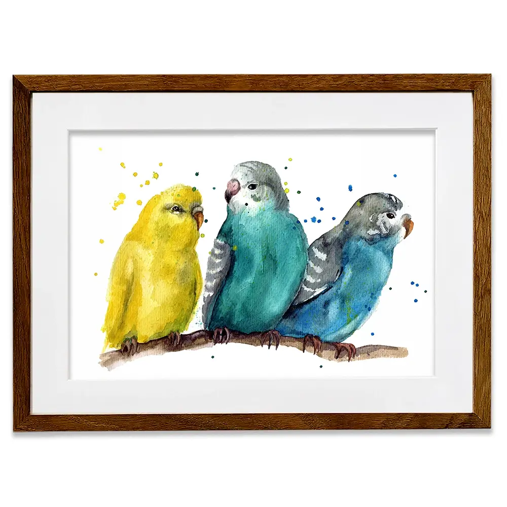 Watercolour Budgies Framed Art Print Watercolour Budgies Framed Art Print wall art product Tatyana Komtsyan / Shutterstock