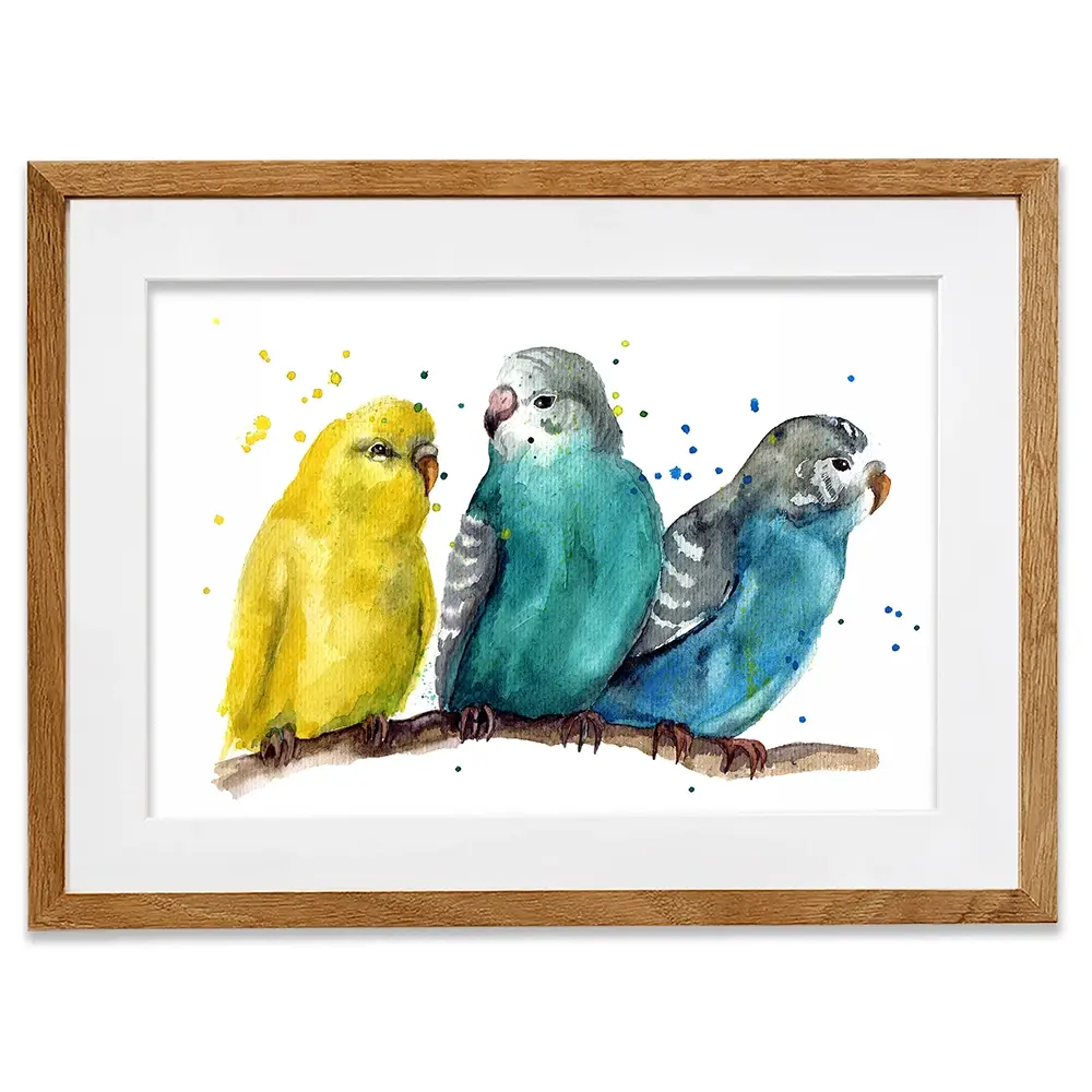 Watercolour Budgies Framed Art Print Watercolour Budgies Framed Art Print wall art product Tatyana Komtsyan / Shutterstock