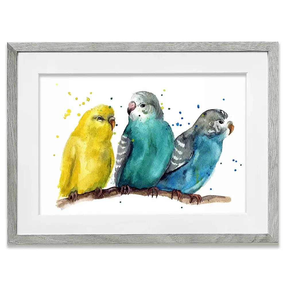 Watercolour Budgies Framed Art Print Watercolour Budgies Framed Art Print wall art product Tatyana Komtsyan / Shutterstock