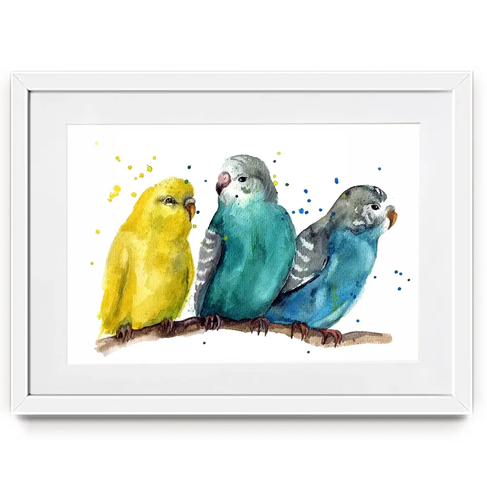 Watercolour Budgies Framed Art Print Watercolour Budgies Framed Art Print wall art product Tatyana Komtsyan / Shutterstock