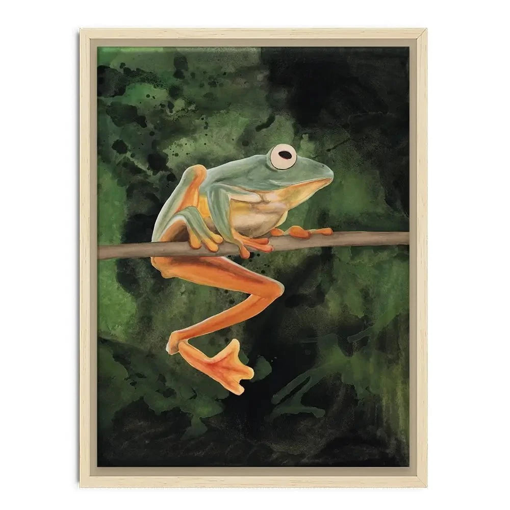 Watercolour Tree Frog Canvas Print Watercolour Tree Frog Canvas Print wall art product Michael Willett