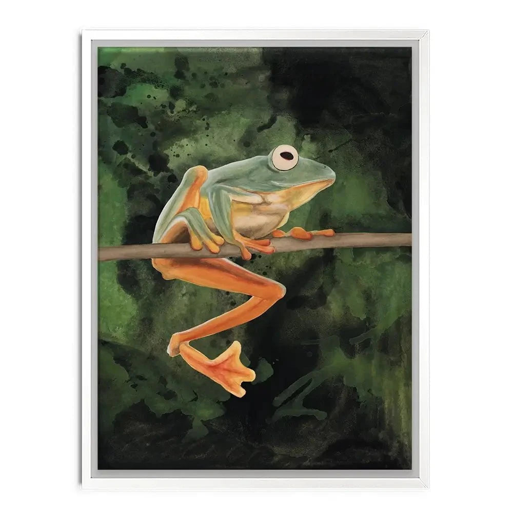 Watercolour Tree Frog Canvas Print Watercolour Tree Frog Canvas Print wall art product Michael Willett