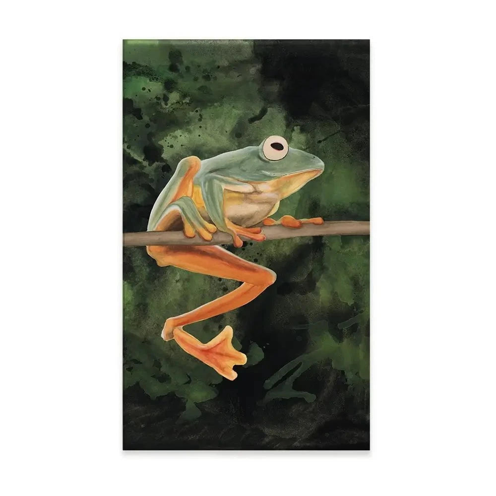 Watercolour Tree Frog Canvas Print Watercolour Tree Frog Canvas Print wall art product Michael Willett