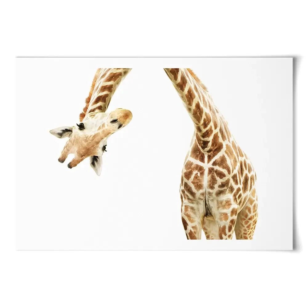 Well Hello There Art Print Well Hello There Art Print wall art product Lukiyanova Natalia frenta / Shutterstock