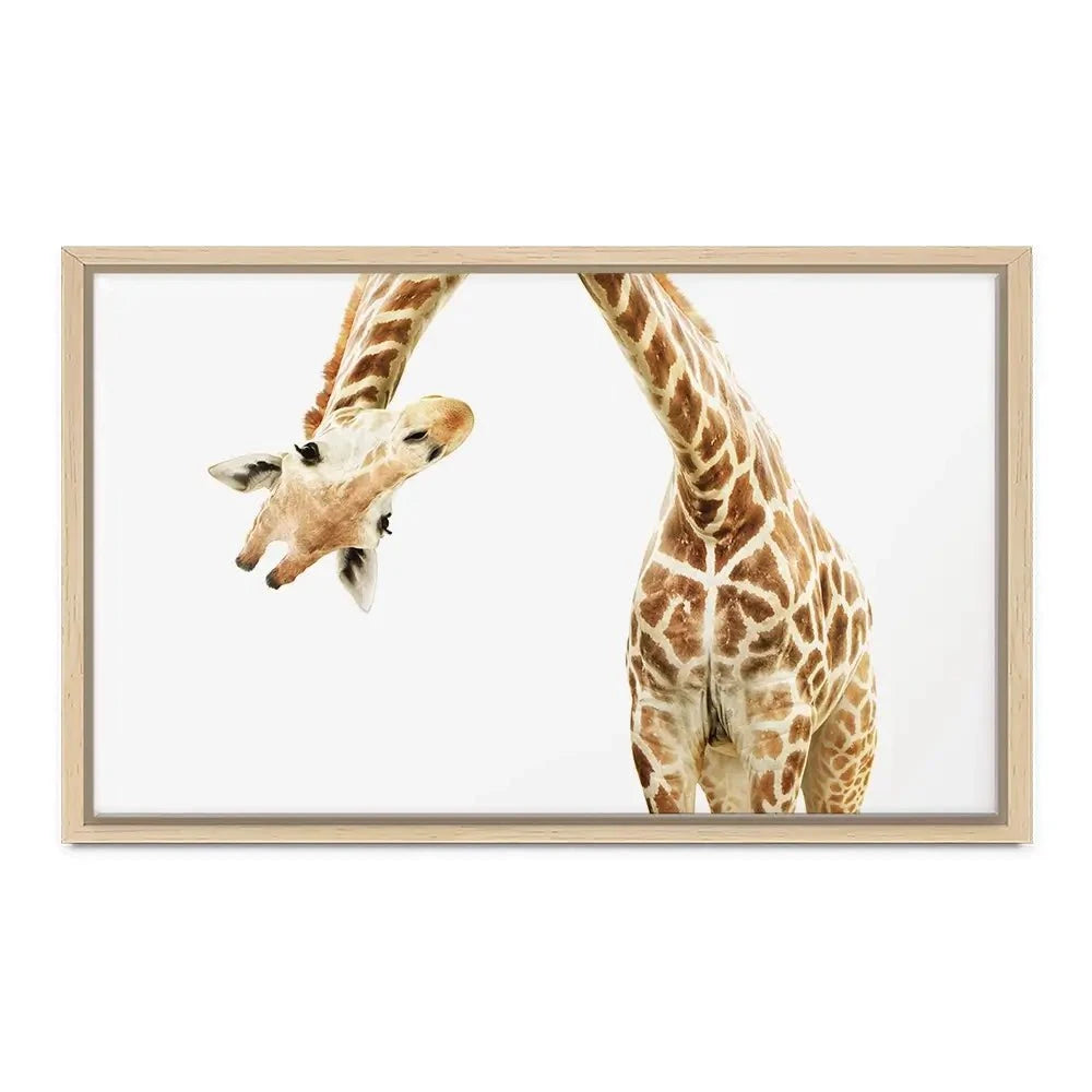 Well Hello There Canvas Print Well Hello There Canvas Print wall art product Lukiyanova Natalia frenta / Shutterstock
