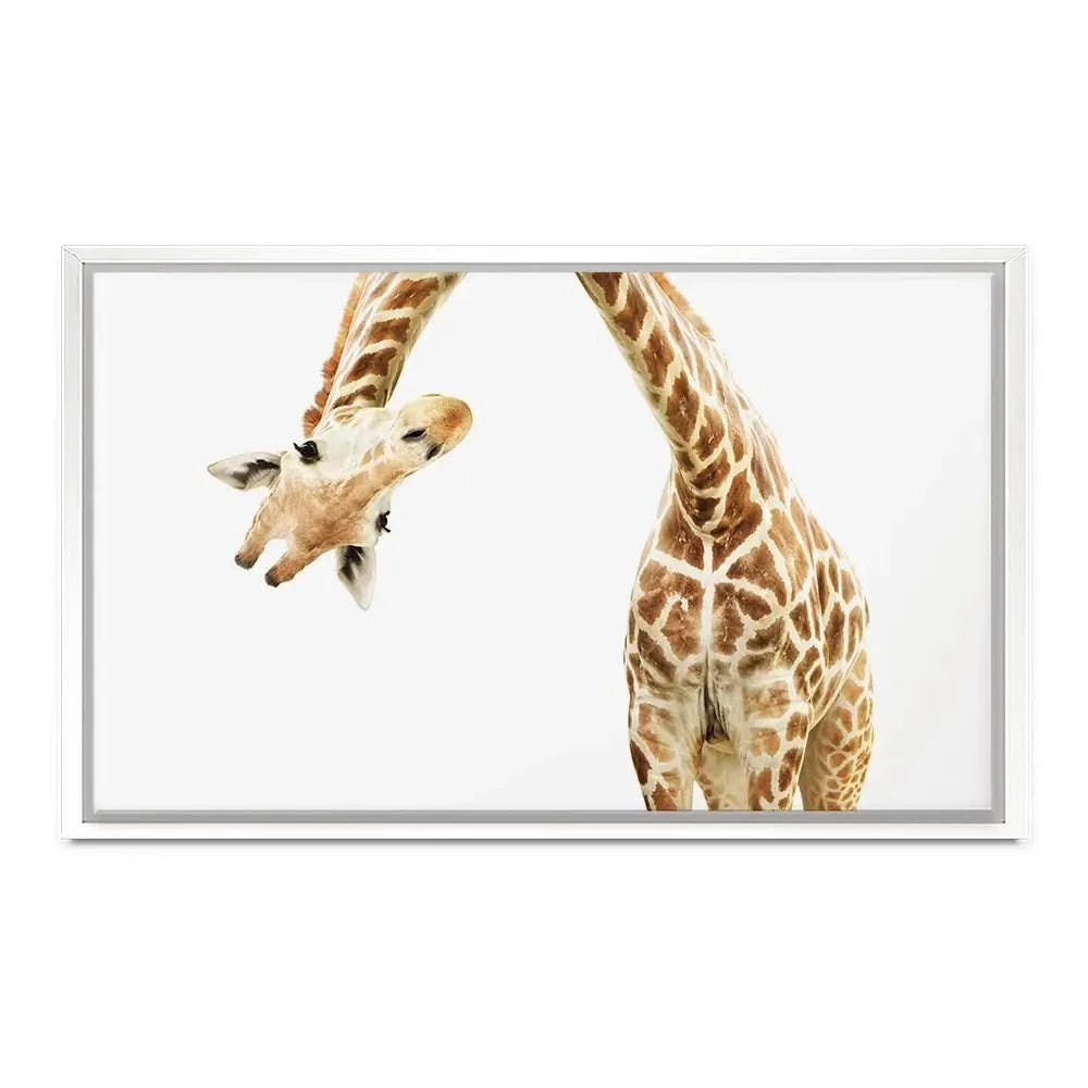 Well Hello There Canvas Print Well Hello There Canvas Print wall art product Lukiyanova Natalia frenta / Shutterstock