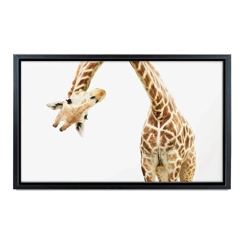 Well Hello There Canvas Print Well Hello There Canvas Print wall art product Lukiyanova Natalia frenta / Shutterstock