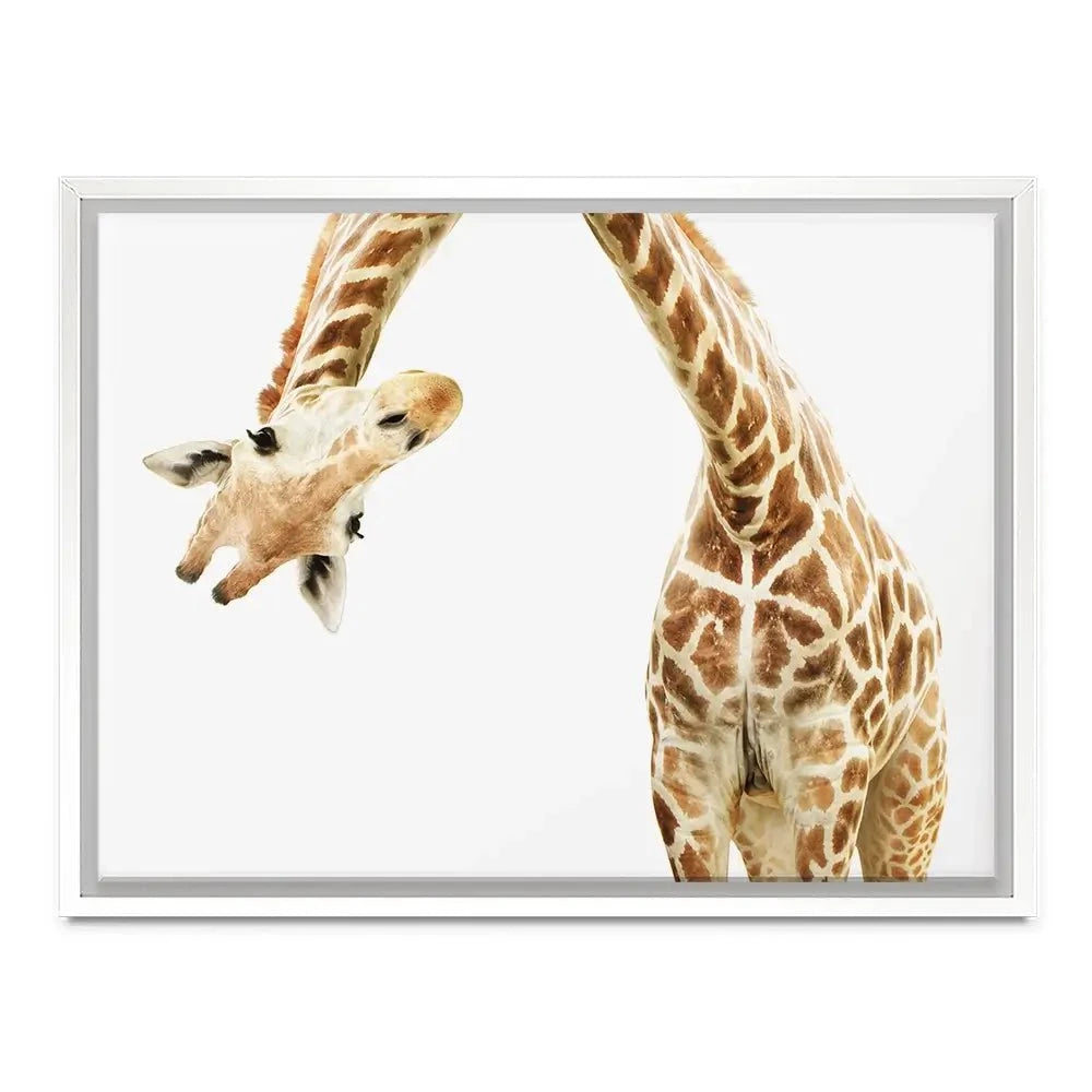 Well Hello There Canvas Print Well Hello There Canvas Print wall art product Lukiyanova Natalia frenta / Shutterstock