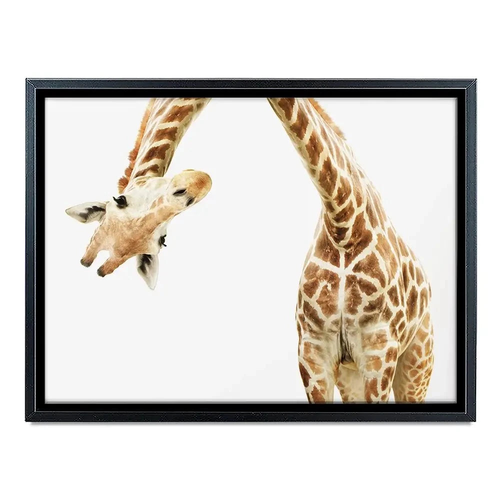 Well Hello There Canvas Print Well Hello There Canvas Print wall art product Lukiyanova Natalia frenta / Shutterstock