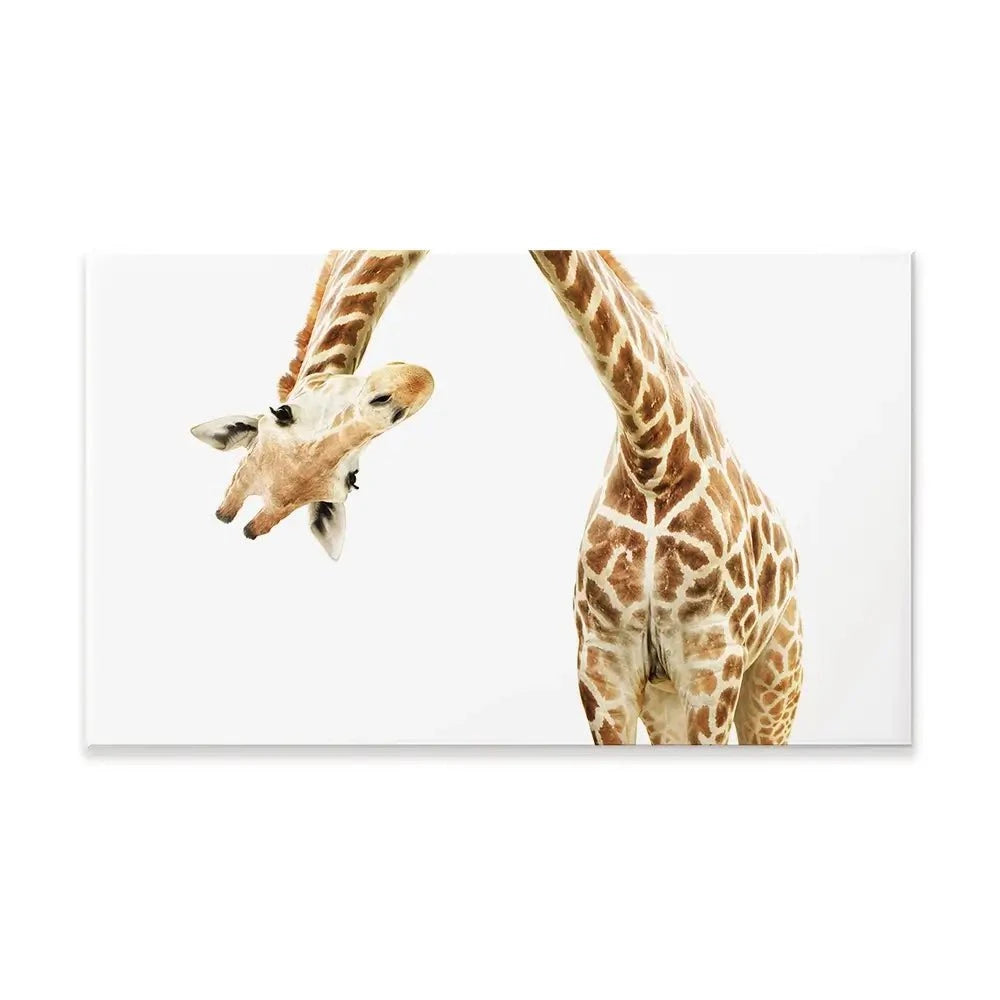 Well Hello There Canvas Print Well Hello There Canvas Print wall art product Lukiyanova Natalia frenta / Shutterstock