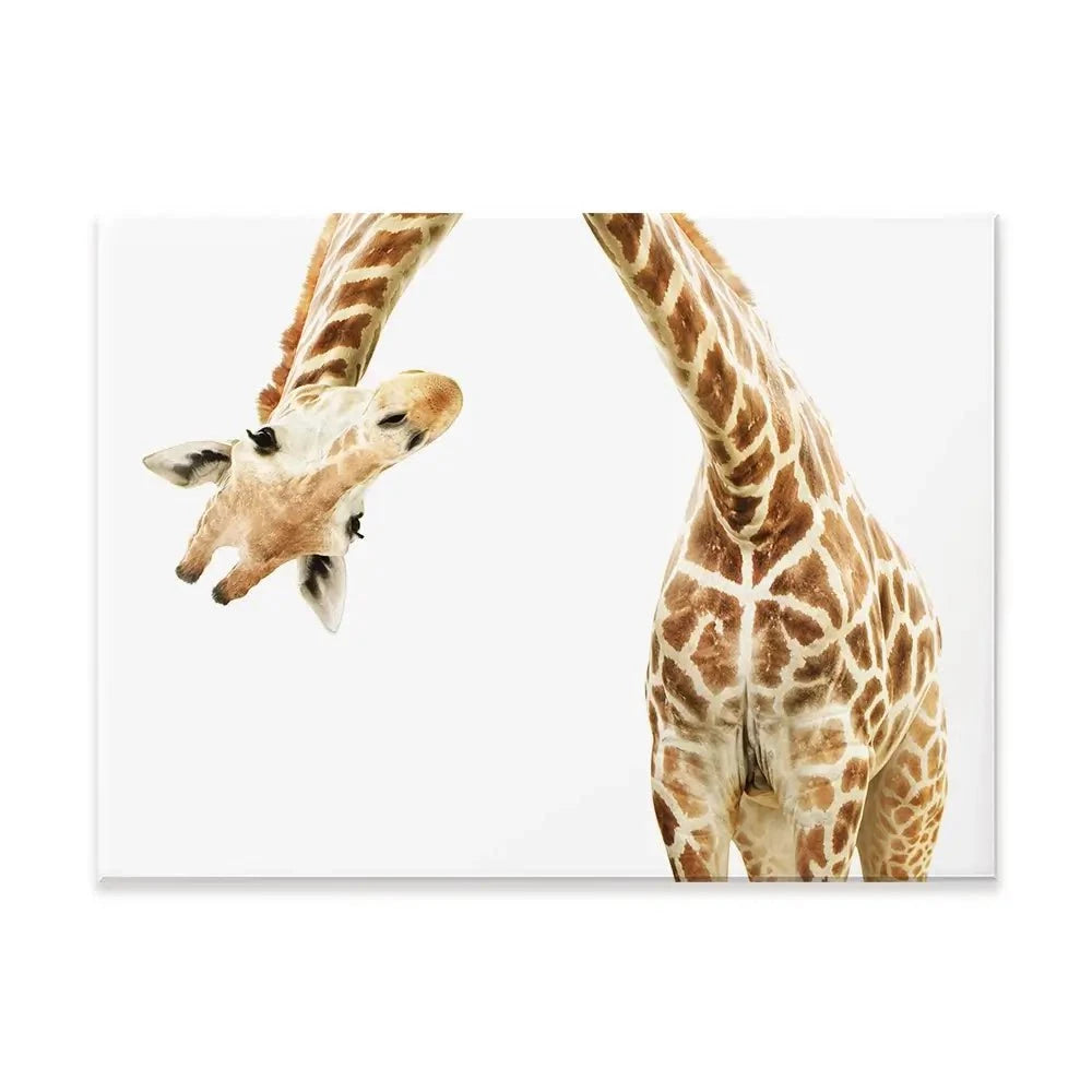 Well Hello There Canvas Print Well Hello There Canvas Print wall art product Lukiyanova Natalia frenta / Shutterstock